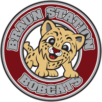 Braun Station logo